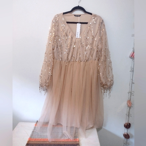 BloomChic Dresses & Skirts - NWT Gorgeous Blush Pink Nude Sequin Tull Bloom Chic Dress XL XXL 14 16